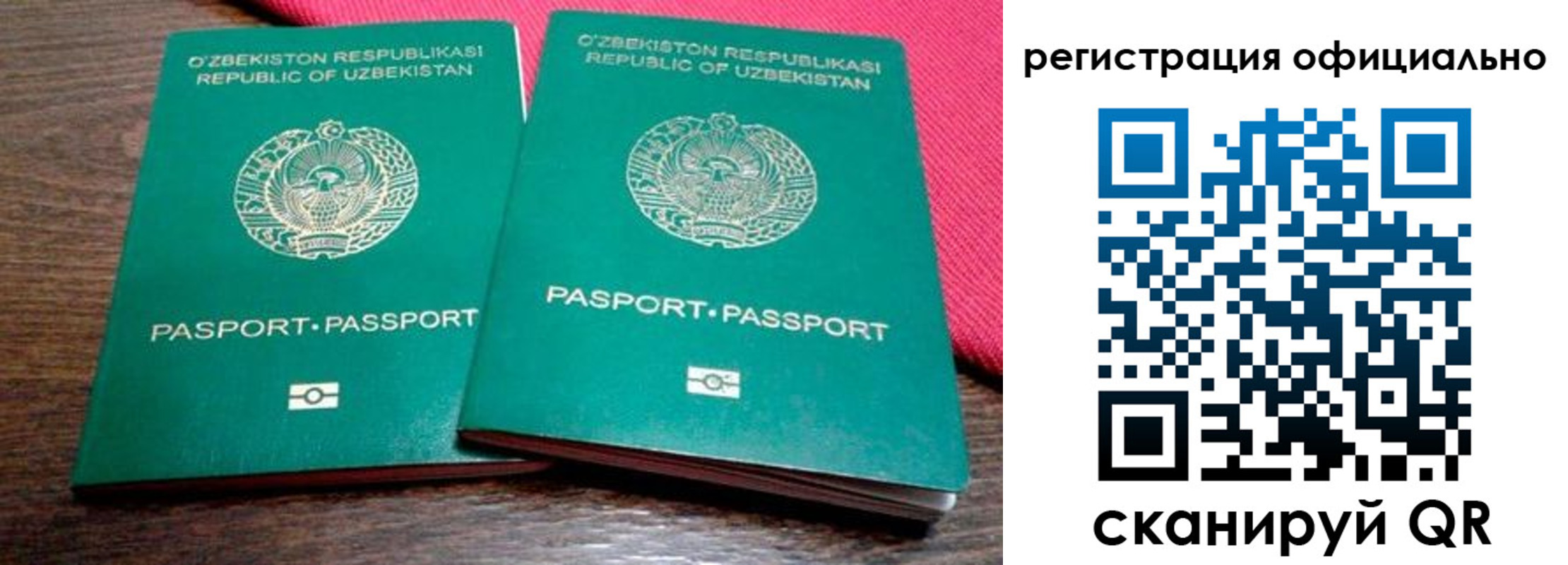 прописка регистрация в Коле